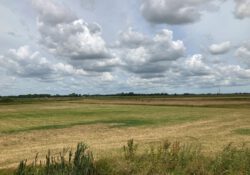 Zorgvuldig maaibeheer in het Westerkwartier – Boswachtersblog